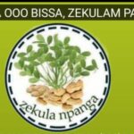 “ENOUGH IS ENOUGH!” – Bissa Community in Pusiga Explodes, Accuses Pusiga MP of Political Witch-Hunt Against Its Professionals