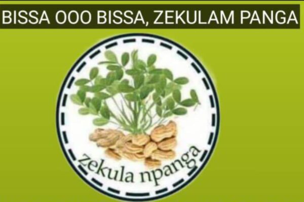 “ENOUGH IS ENOUGH!” – Bissa Community in Pusiga Explodes, Accuses Pusiga MP of Political Witch-Hunt Against Its Professionals