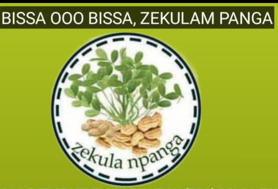 “ENOUGH IS ENOUGH!” – Bissa Community in Pusiga Explodes, Accuses Pusiga MP of Political Witch-Hunt Against Its Professionals