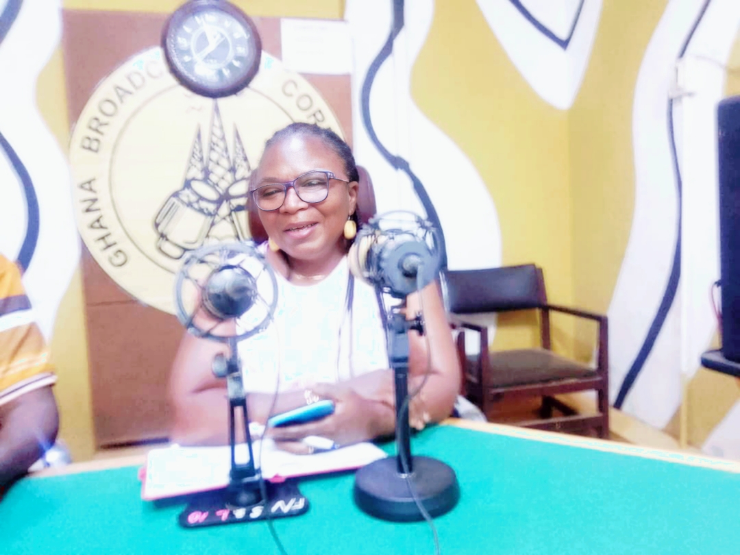 Irresponsible Mining defeating gains in achieving SDG goals on life, land and environment – AG Director of Department of Children