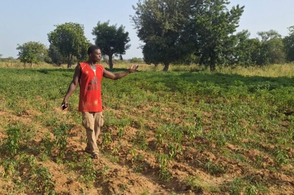 Water Crisis Hits Gambibgo Farmers as Drought Threatens Crops and Livelihoods