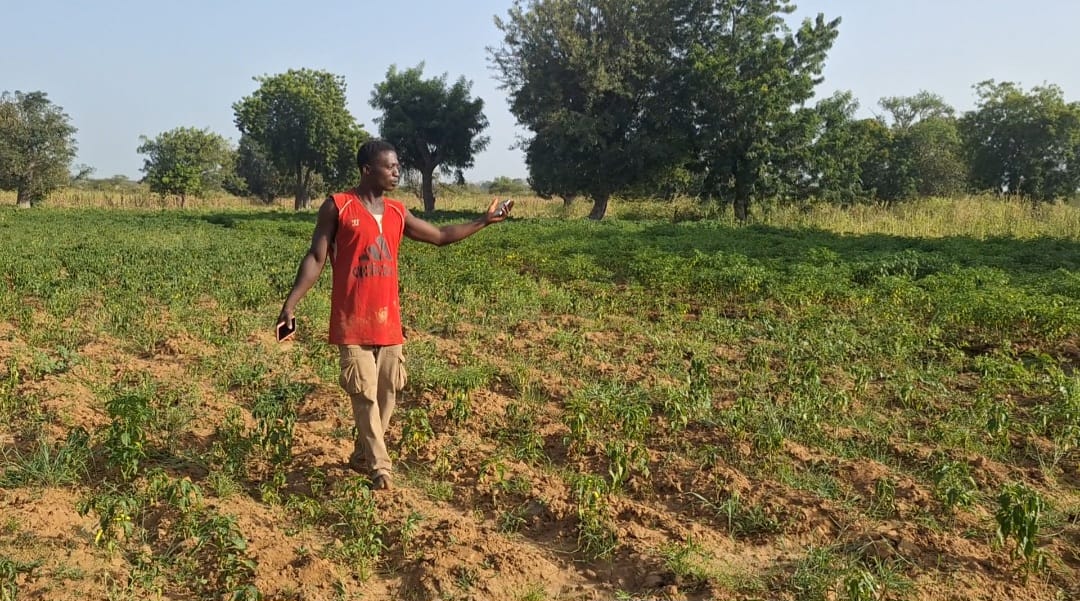 Water Crisis Hits Gambibgo Farmers as Drought Threatens Crops and Livelihoods